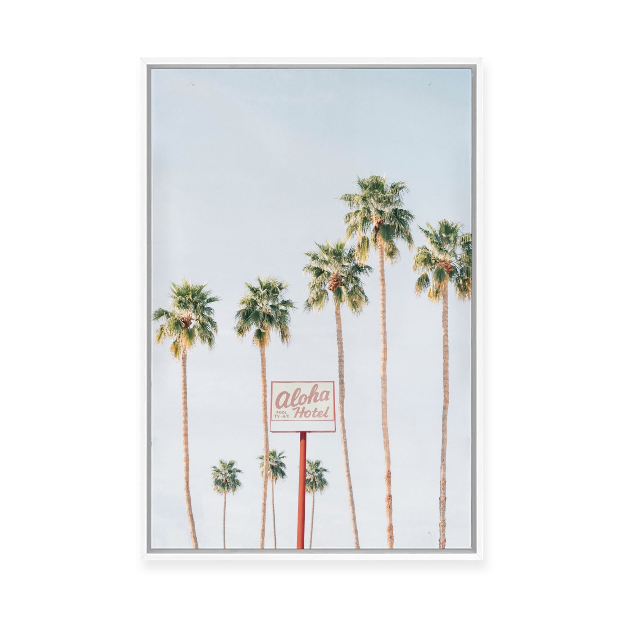 Aloha | Framed Canvas