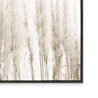 Amongst the Reeds II