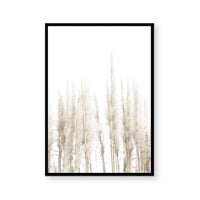 Amongst the Reeds II