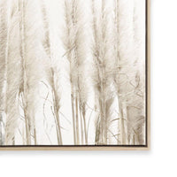 Amongst the Reeds II