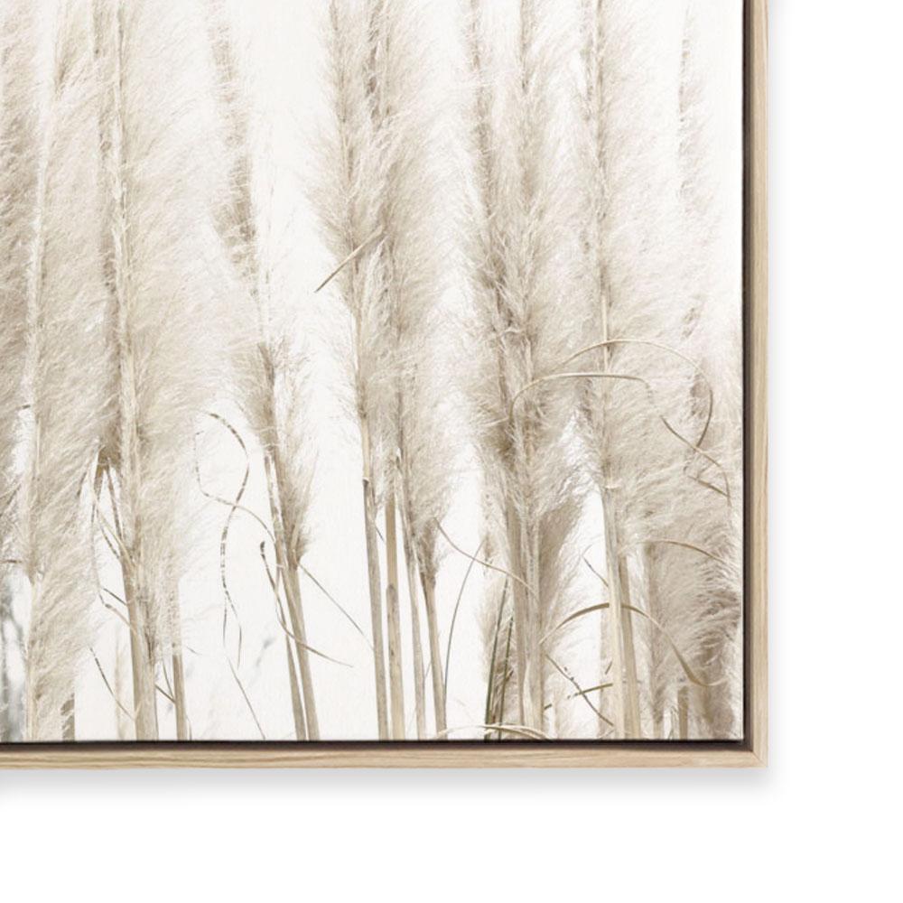 Amongst the Reeds II