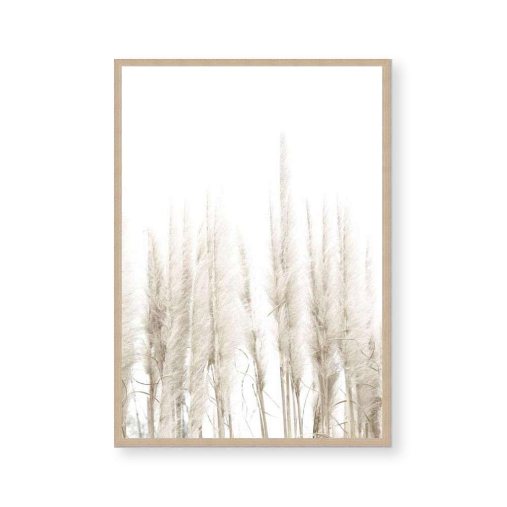 Amongst the Reeds II