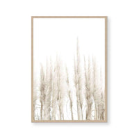 Amongst the Reeds II