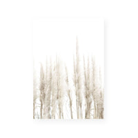 Amongst the Reeds II