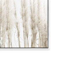 Amongst the Reeds II