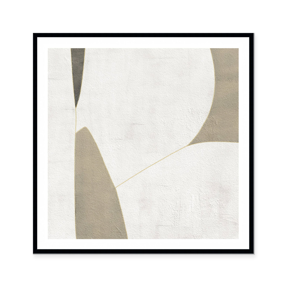 Ancestry II