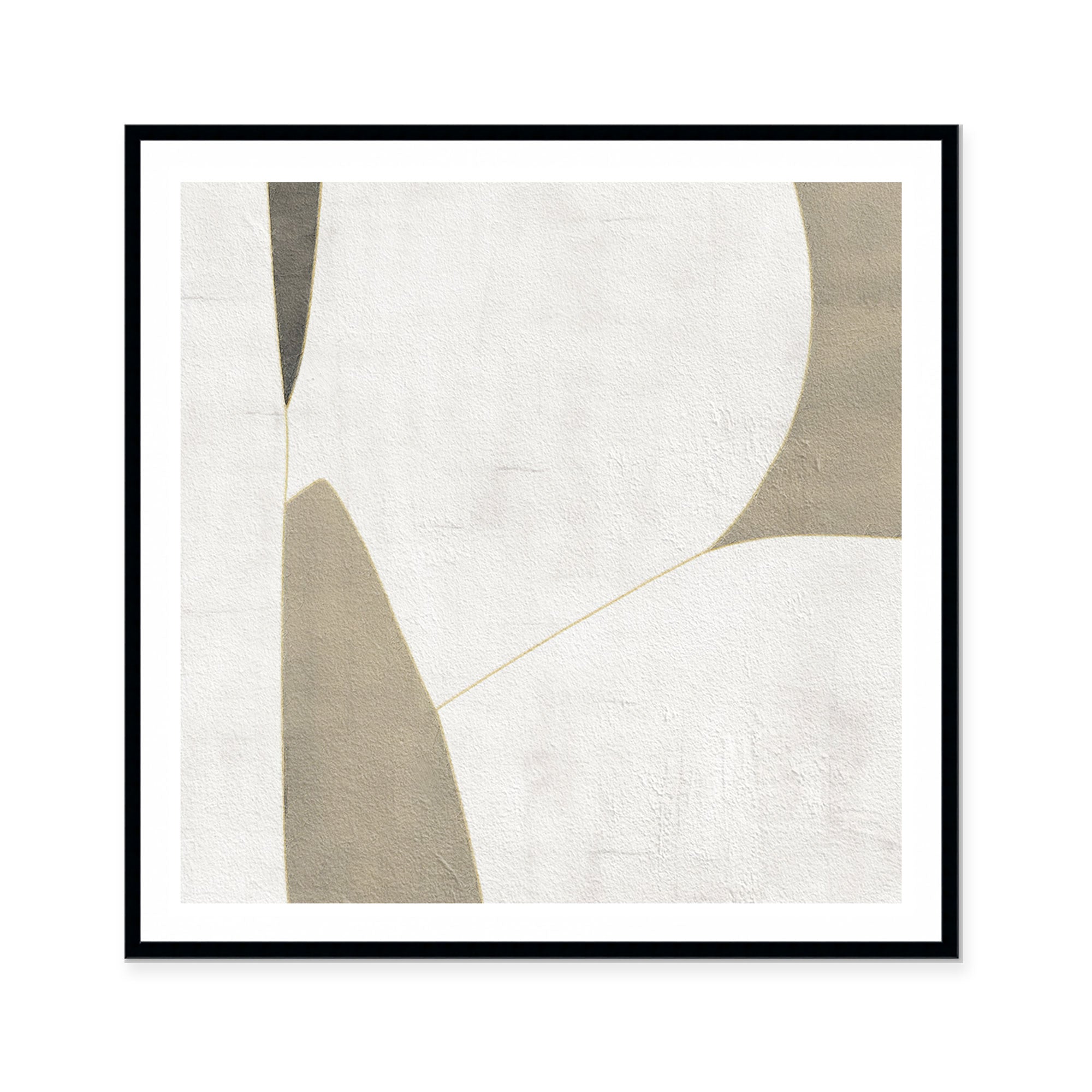 Ancestry II