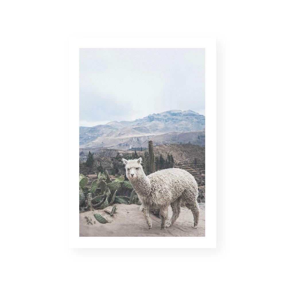 Andes