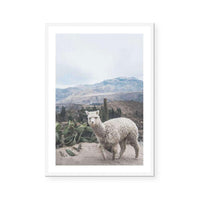 Andes