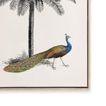 Antique Peacock