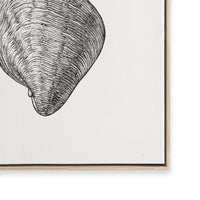 Antique Shell III