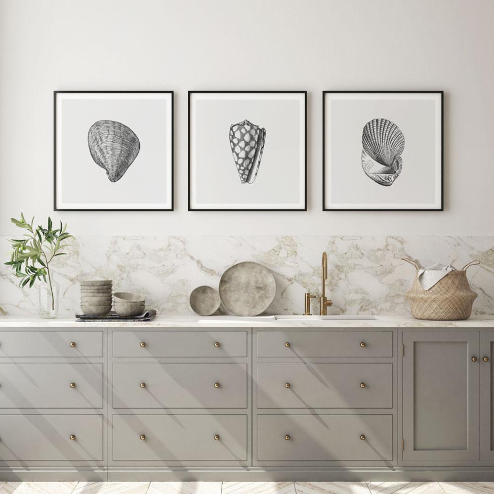Antique Shell III