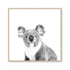 Australiana | The Koala