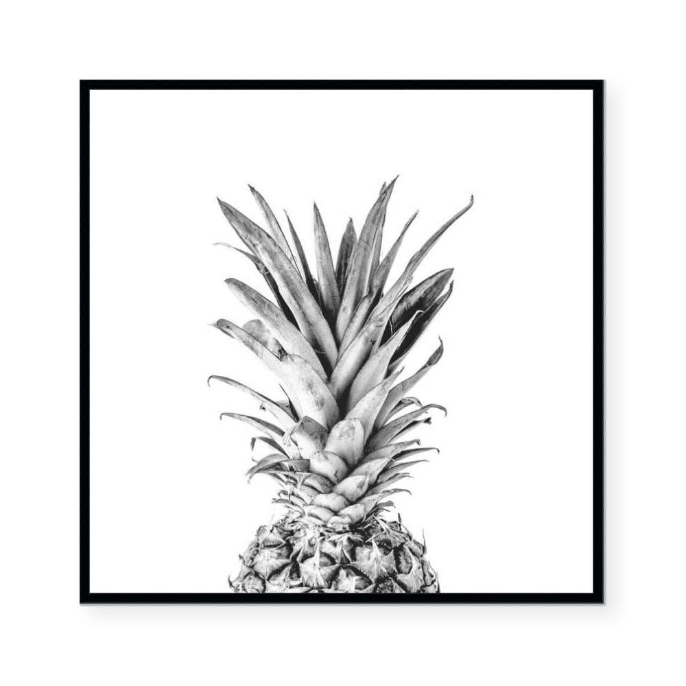 Australiana | The Pineapple