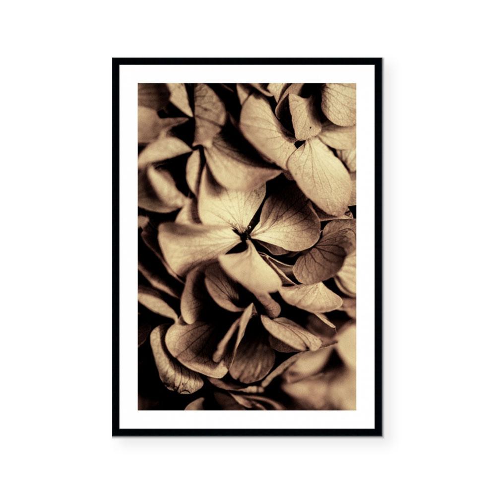 Autumn Foliage II