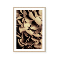 Autumn Foliage II