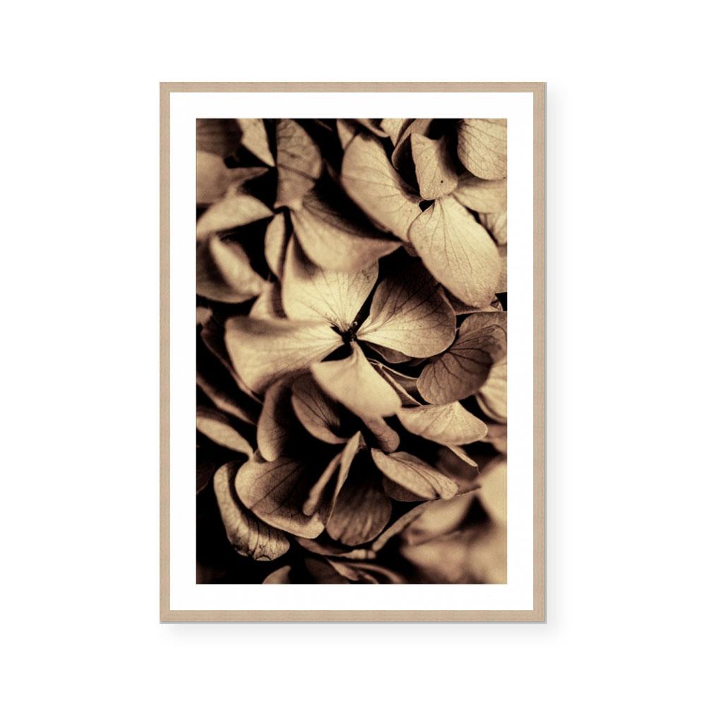Autumn Foliage II