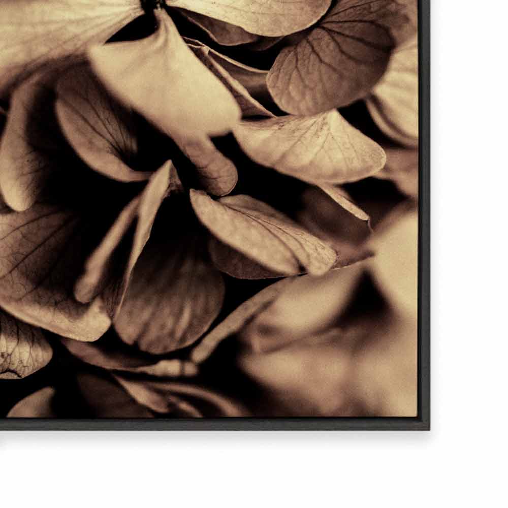 Autumn Foliage II