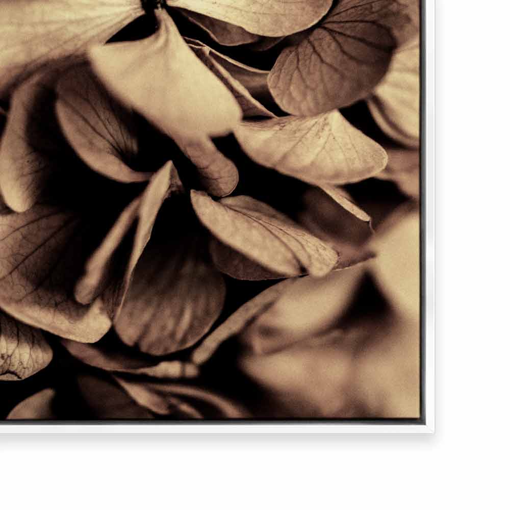 Autumn Foliage II