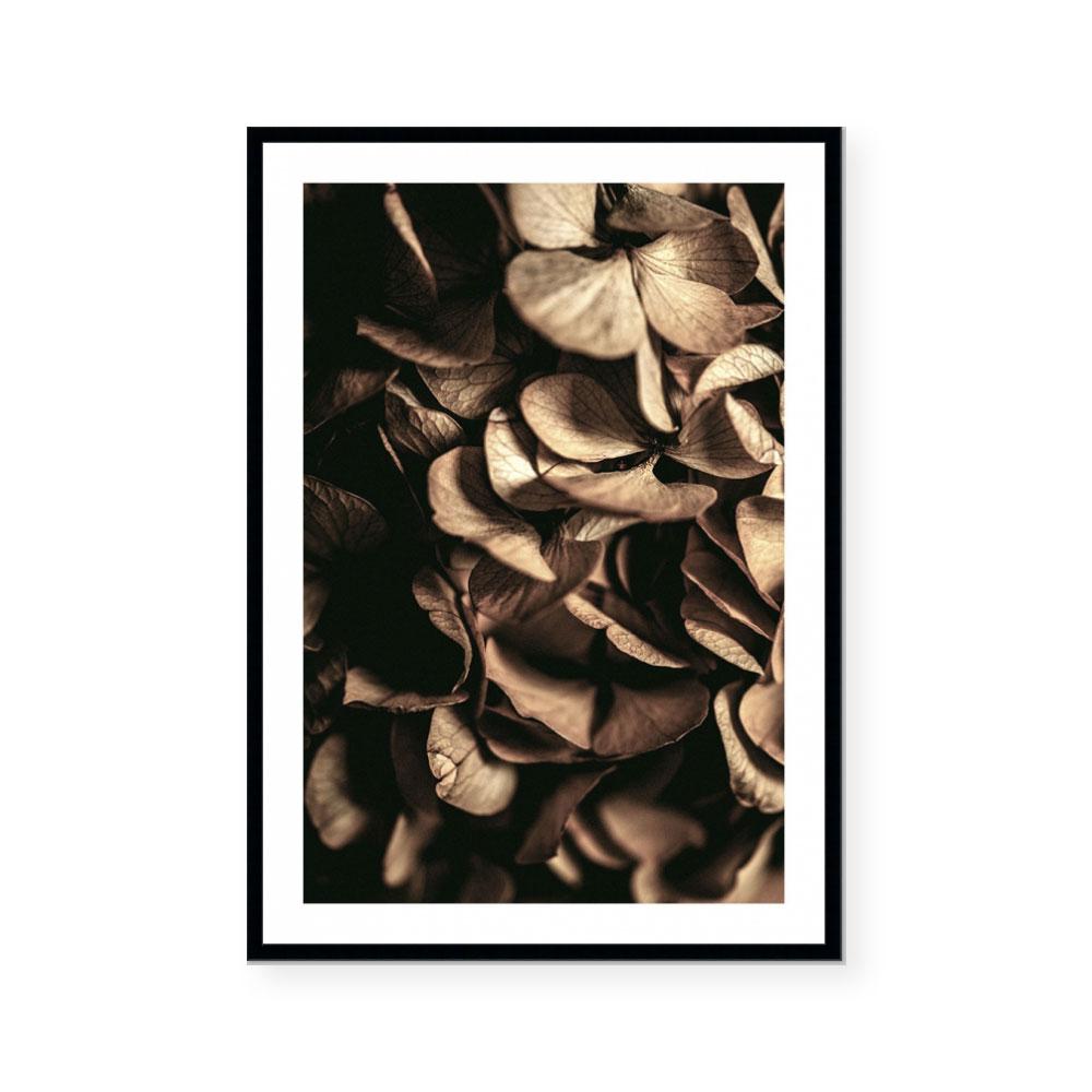 Autumn Foliage I