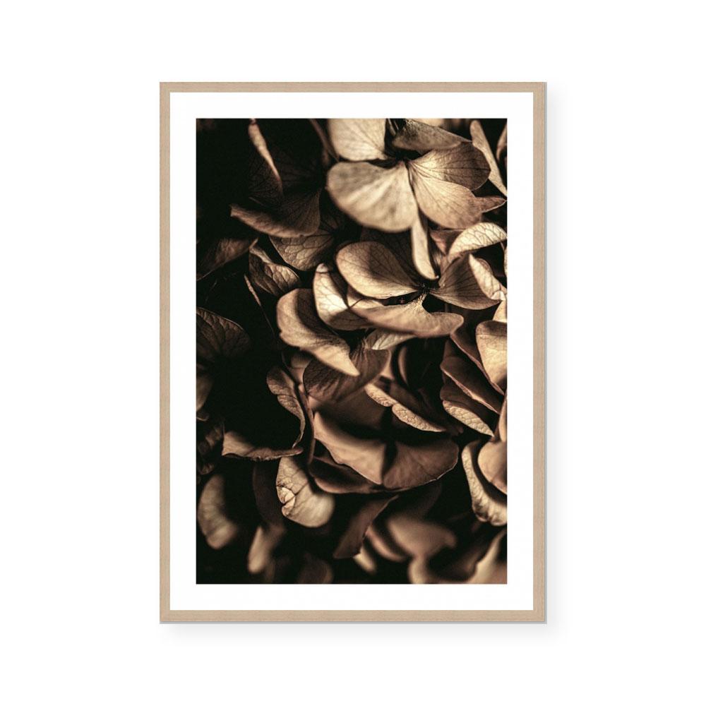 Autumn Foliage I