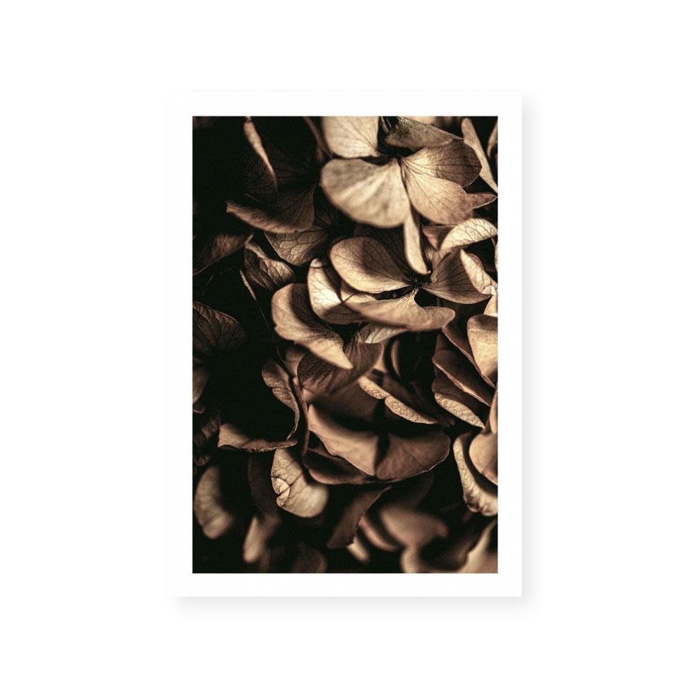Autumn Foliage I