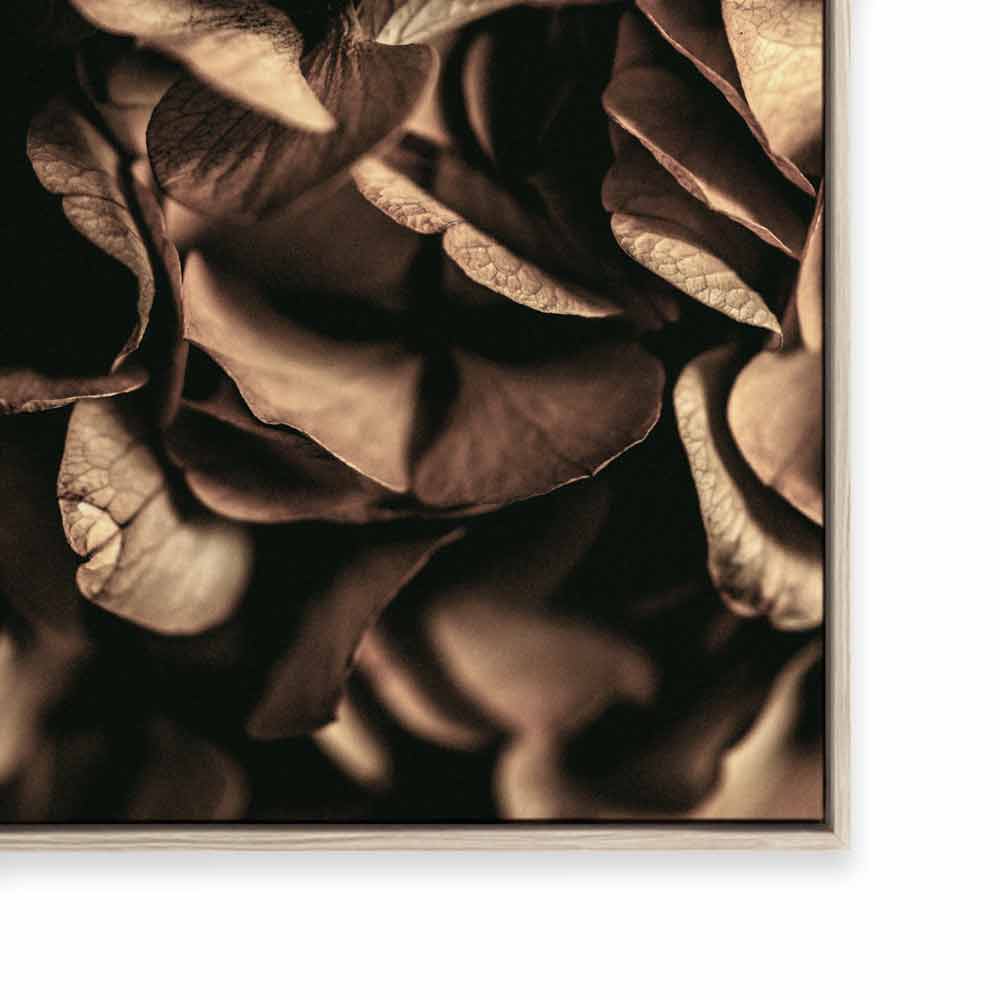 Autumn Foliage I