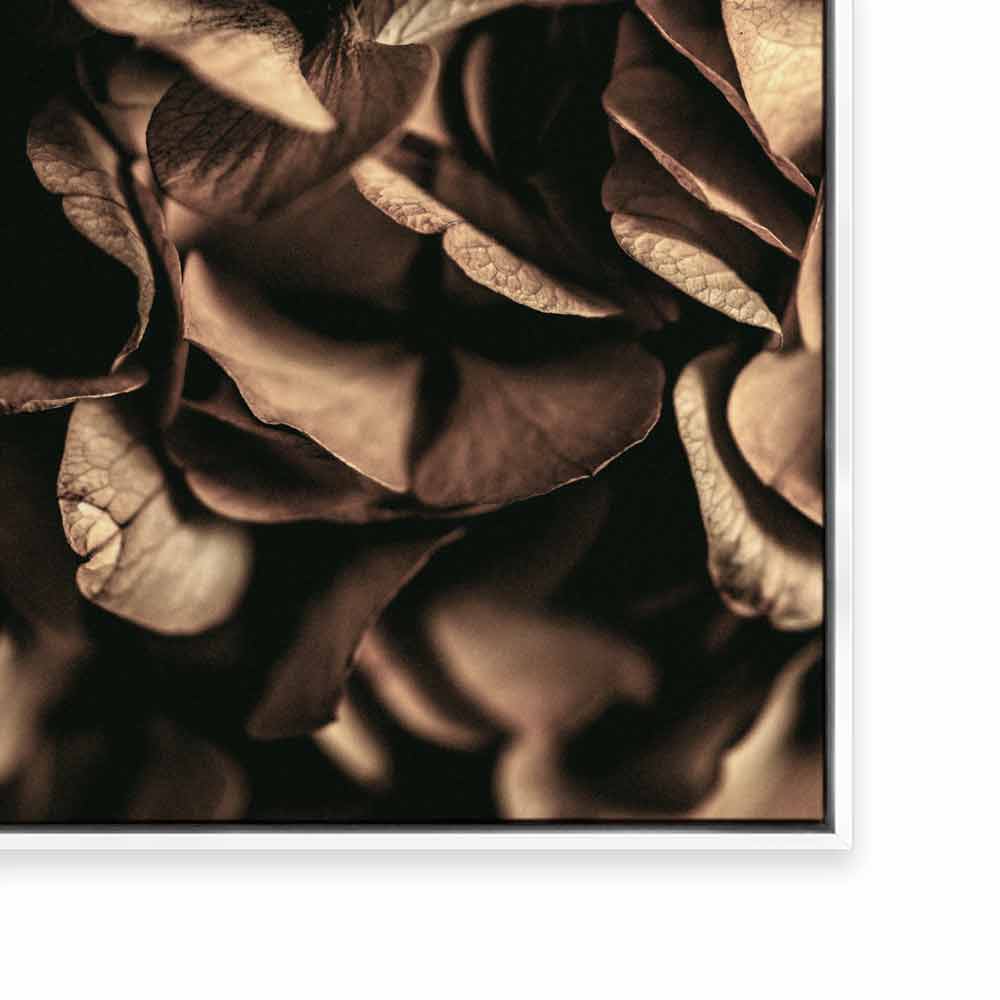 Autumn Foliage I