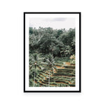 Bali 3 | Open Edition Art Print | Danielle Leigh