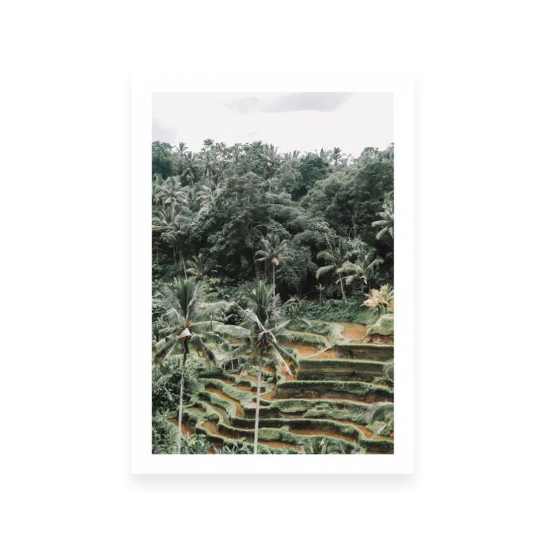 Bali 3 | Open Edition Art Print | Danielle Leigh