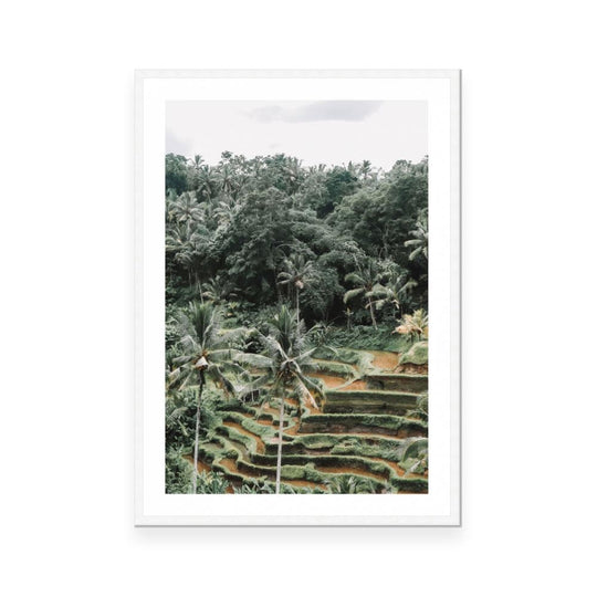 Bali 3 | Open Edition Art Print | Danielle Leigh