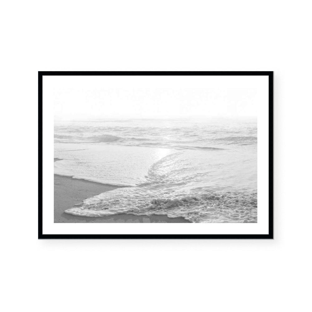 Beach Comber