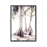 Beach Hammock