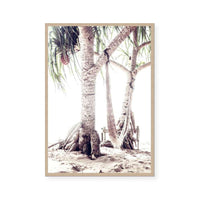 Beach Hammock