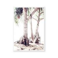 Beach Hammock
