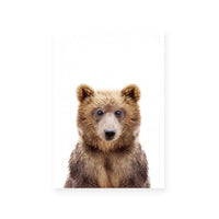 Bear