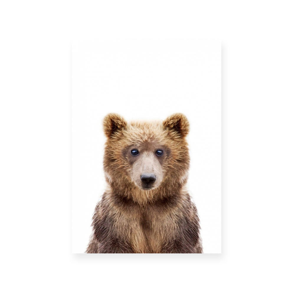 Bear