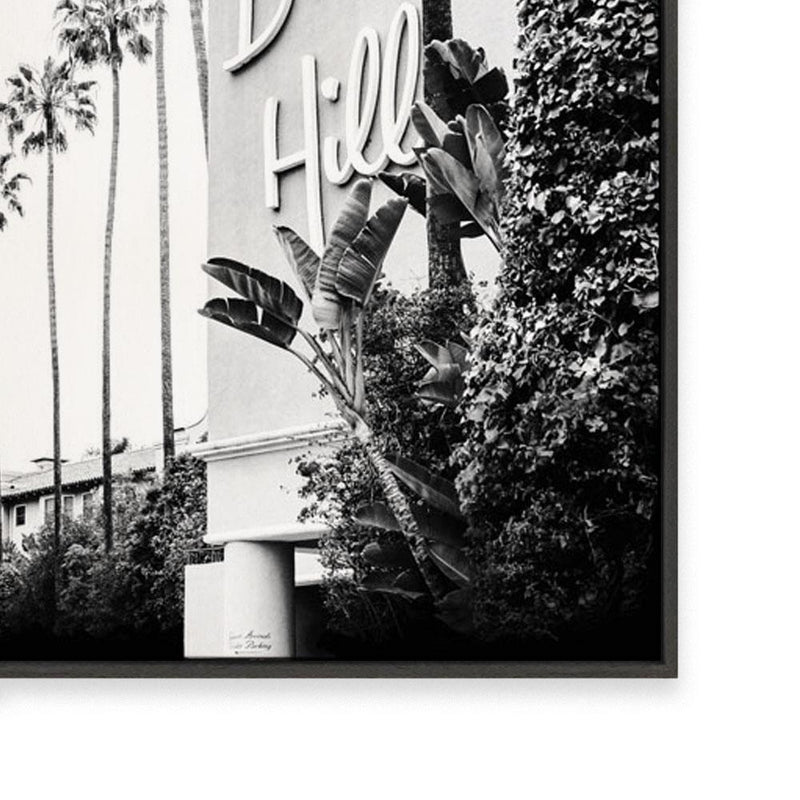Beverly Hills | Monochrome