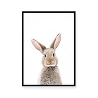 Big Ears