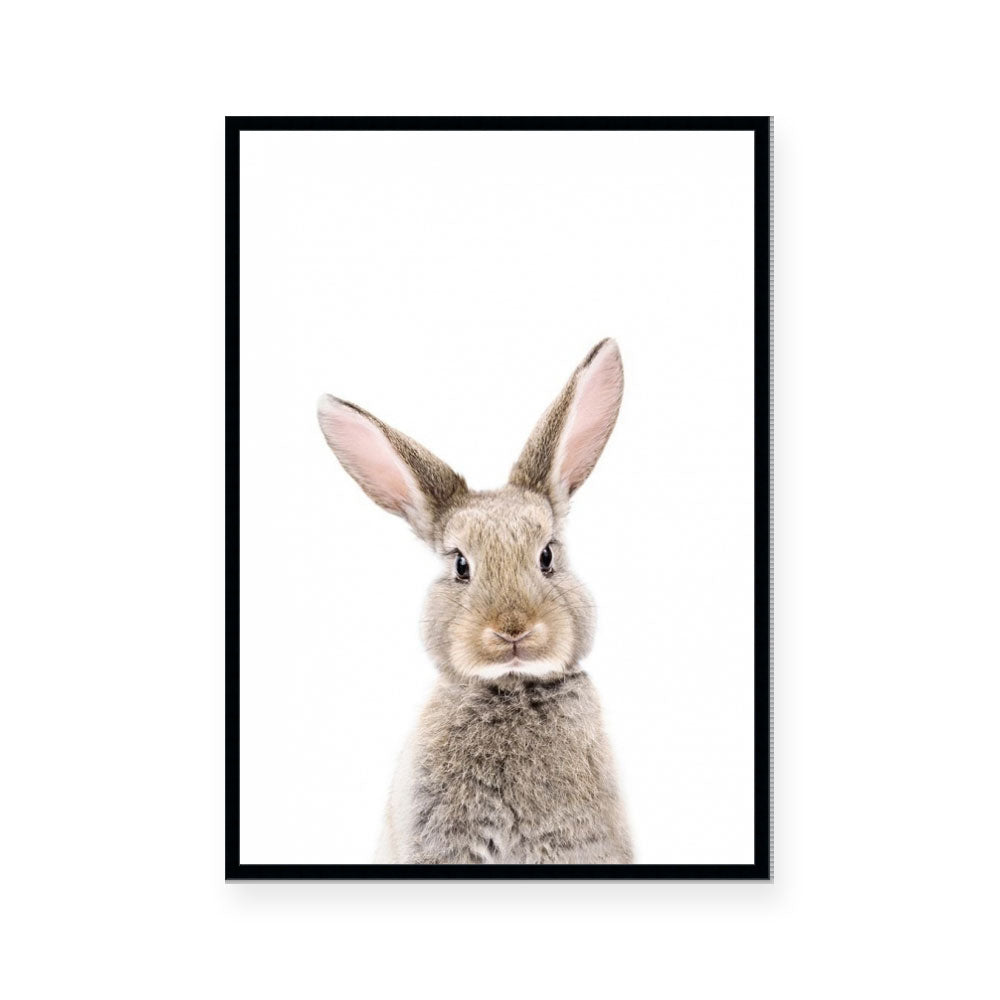 Big Ears