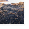 Black Sands of Iceland II | Portrait