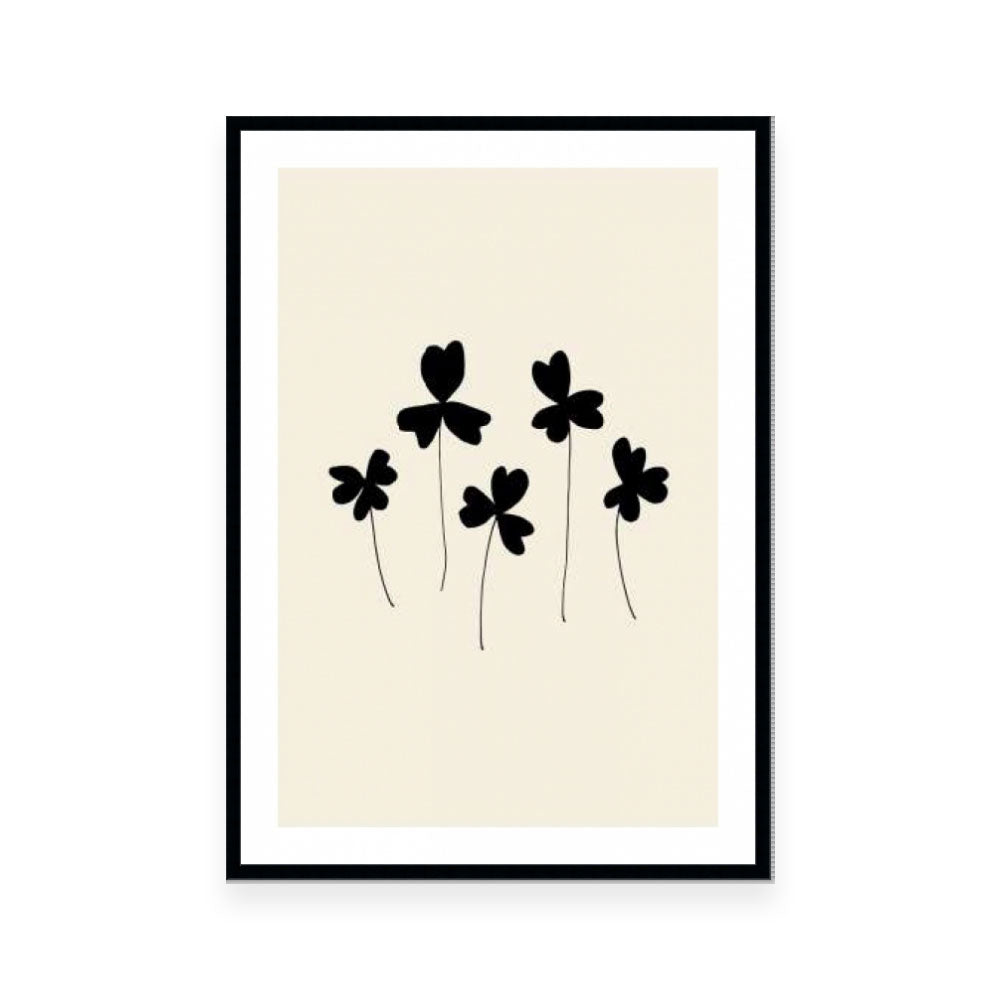 Black Sorrel