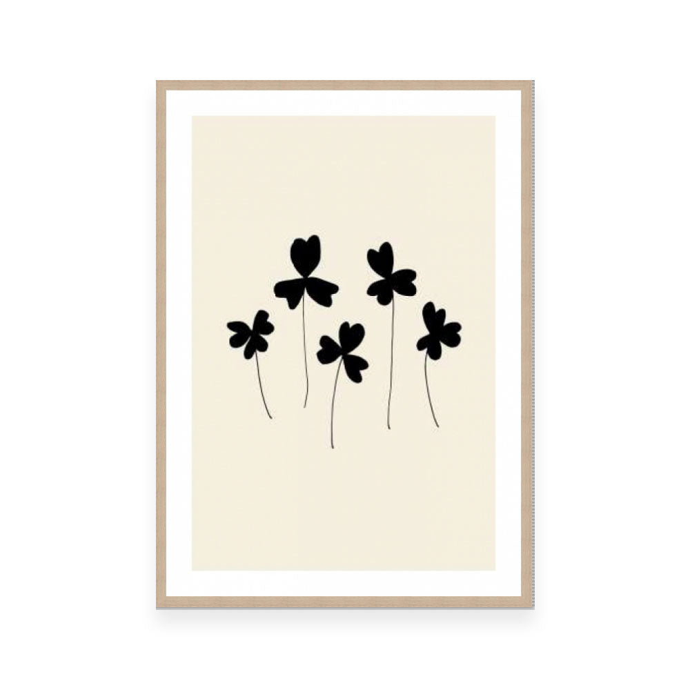 Black Sorrel