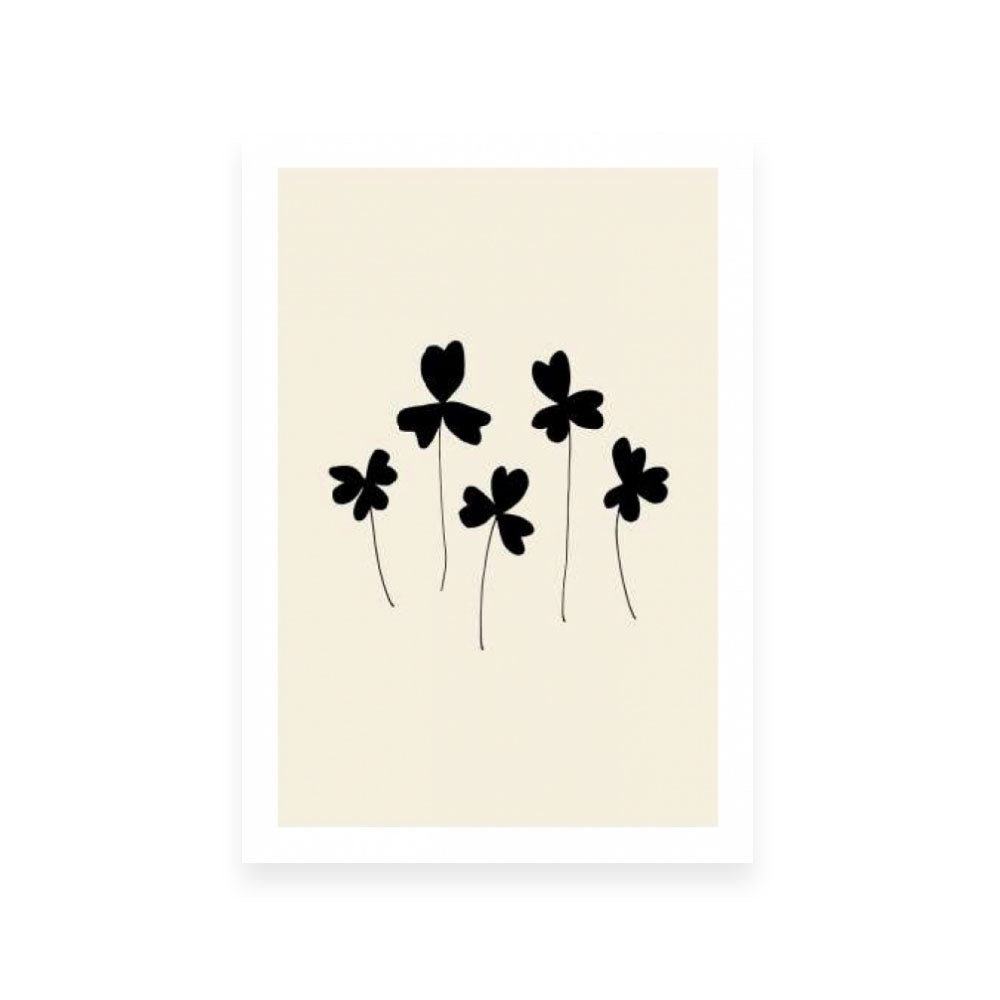 Black Sorrel