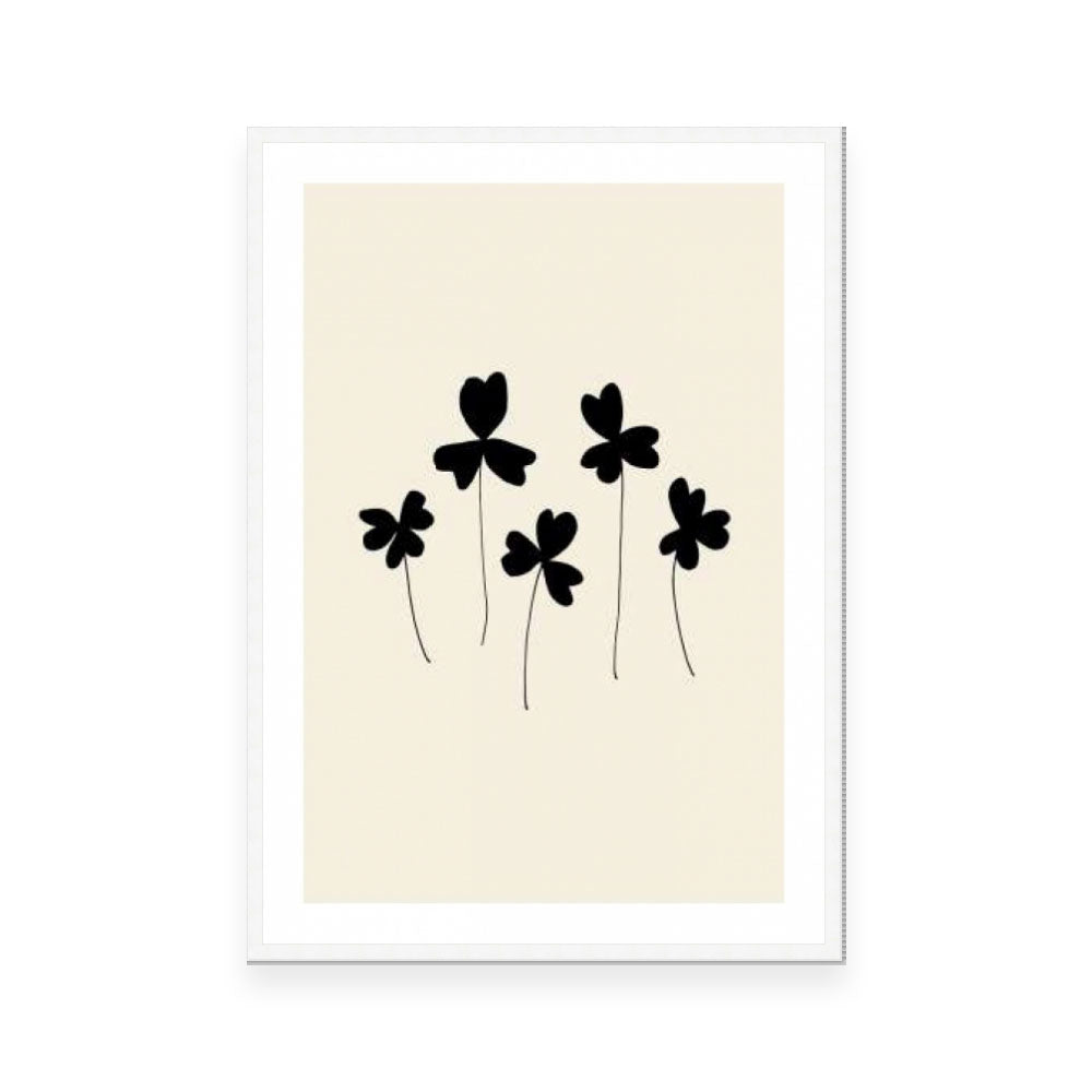 Black Sorrel