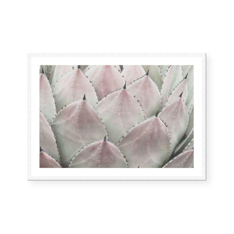 Cactus Blush