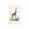 Botanic Antique | Giraffe