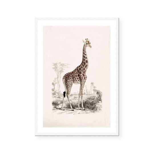 Botanic Antique | Giraffe