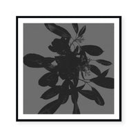 Botanical Light 1