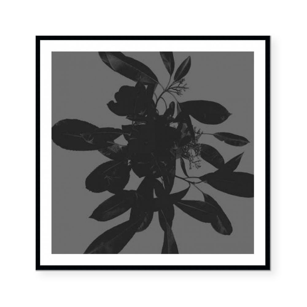 Botanical Light 1